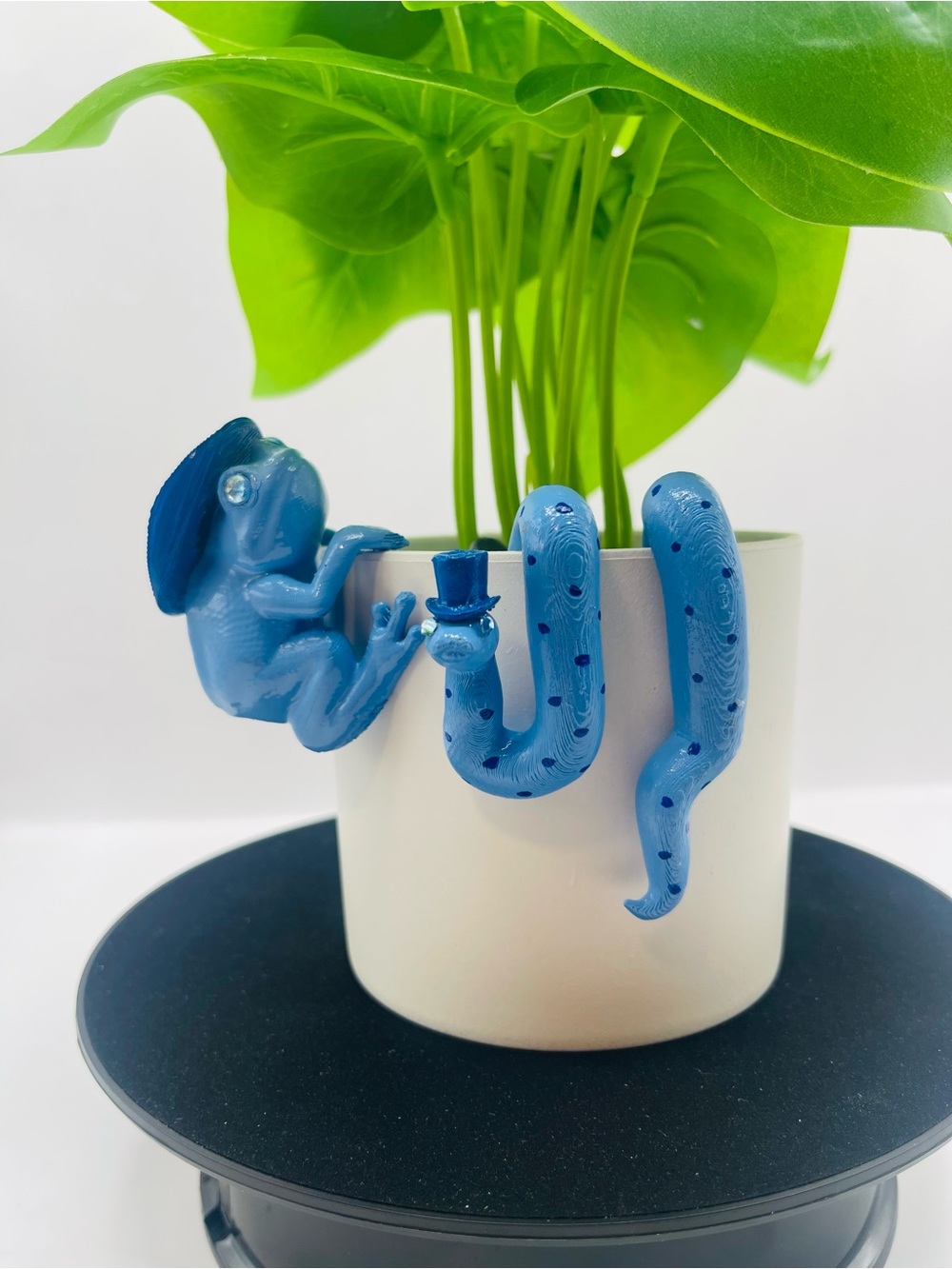 Rodeo & Ritz - Hanging Frog and Mini Snake Plant Decor Pot Hugger